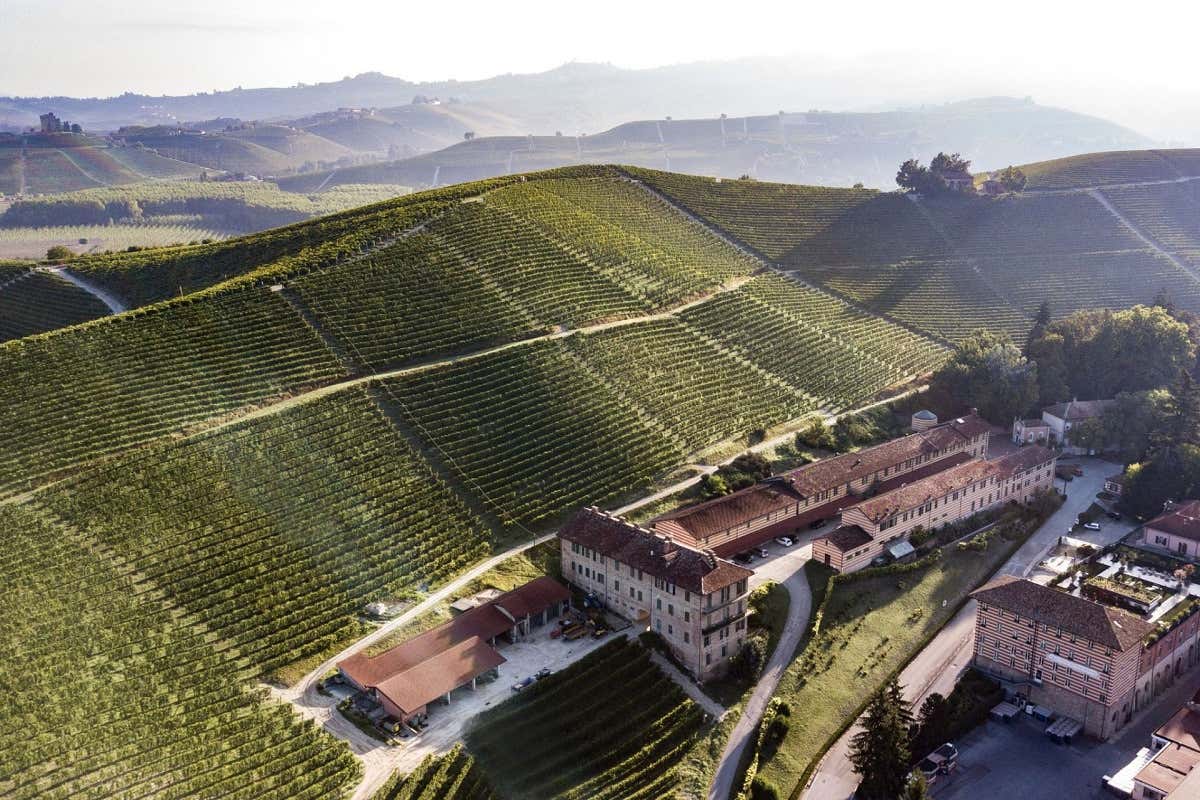 Fontanafredda tra i “Top 100 Premium Wine & Spirits Brands” del mondo